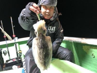 モンゴウイカ(カミナリイカ)