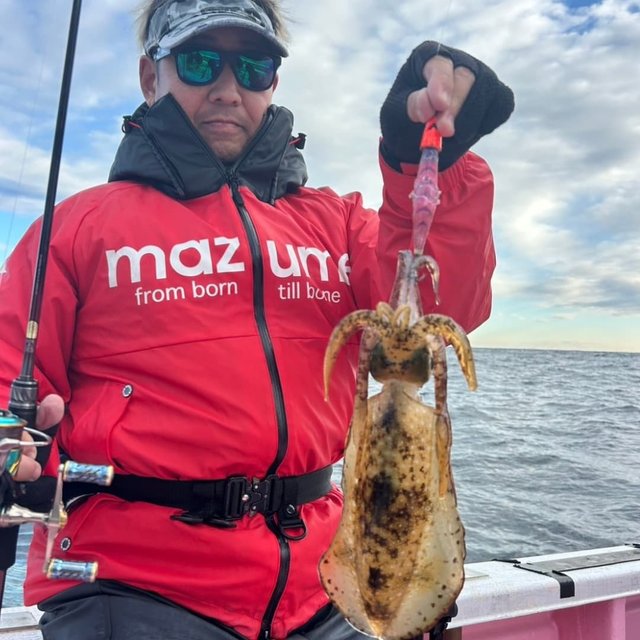 アオリ(アオリイカ)