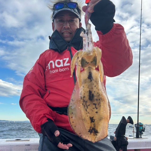 アオリ(アオリイカ)