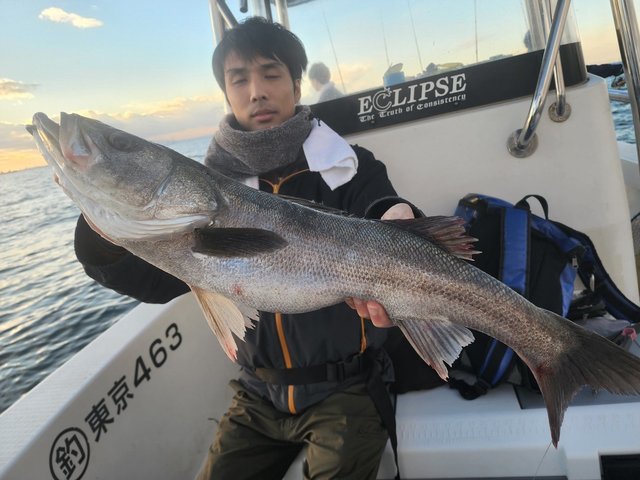 シーバス(スズキ)