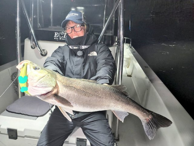 シーバス(スズキ)