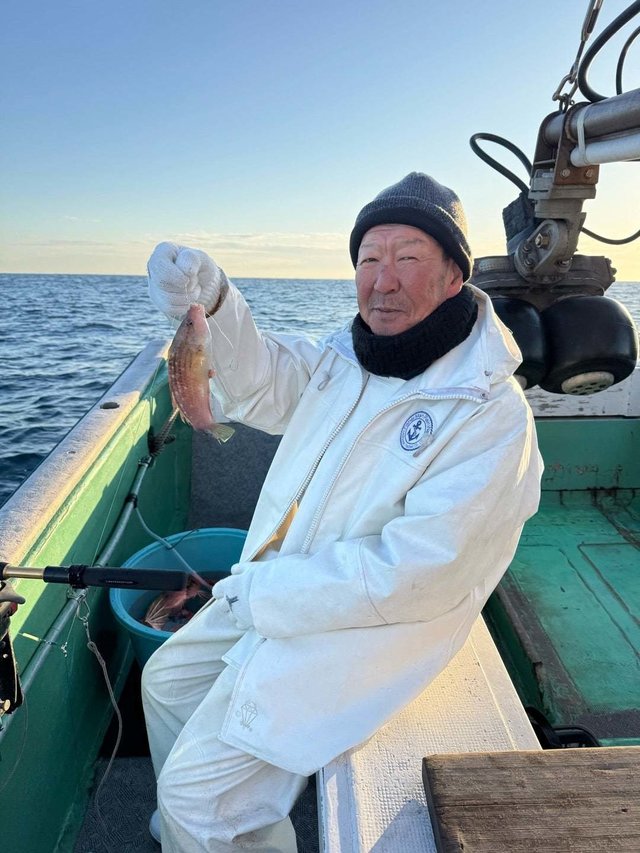 ベラ(キュウセン)