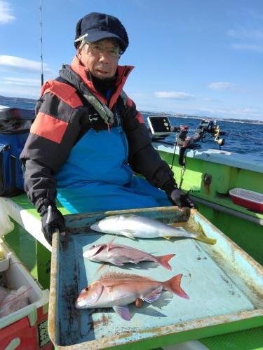 マダイ・ハマチ(ブリ)