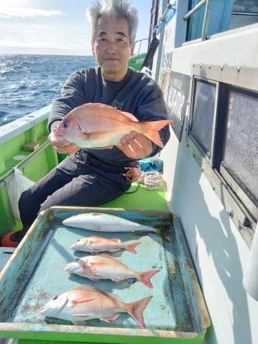 マダイ・ハマチ(ブリ)