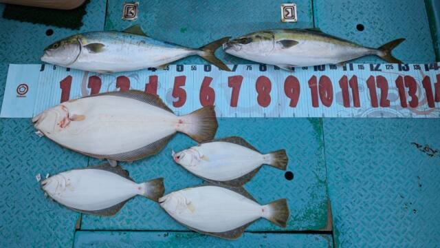 ワラサ(ブリ)・ヒラメ