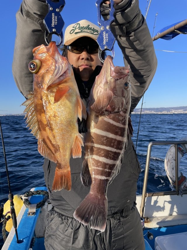 マハタ・メバル