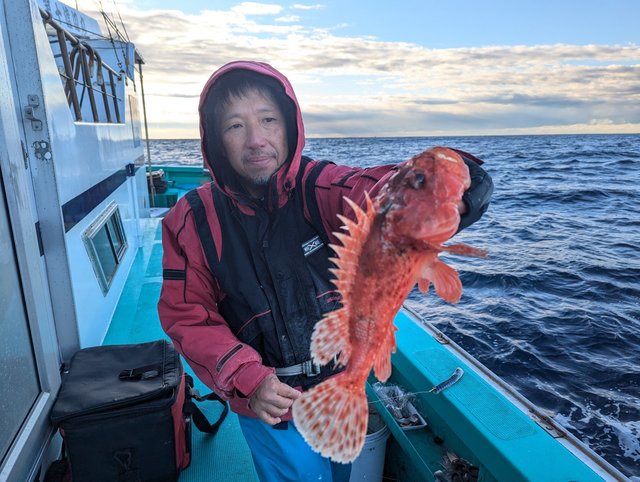 オニカサゴ(イズカサゴ)