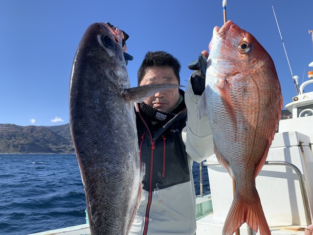 マダイ・メダイ