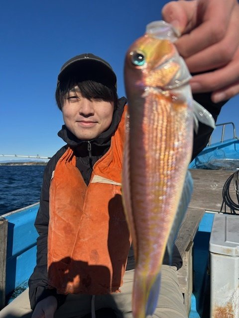 アマダイ(アカアマダイ)