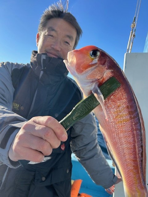 アマダイ(アカアマダイ)