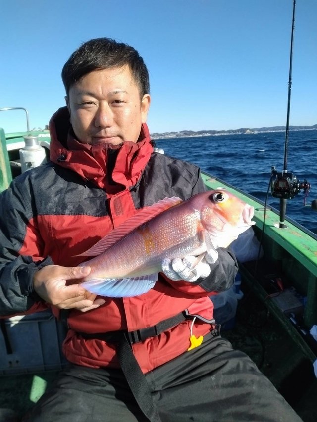 アマダイ(アカアマダイ)