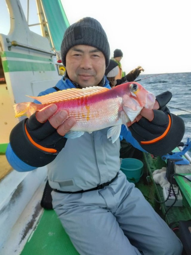 アマダイ(アカアマダイ)