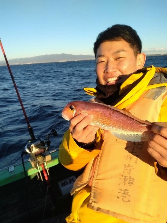 アマダイ(アカアマダイ)