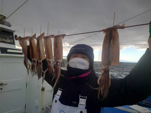 スルメ(スルメイカ)