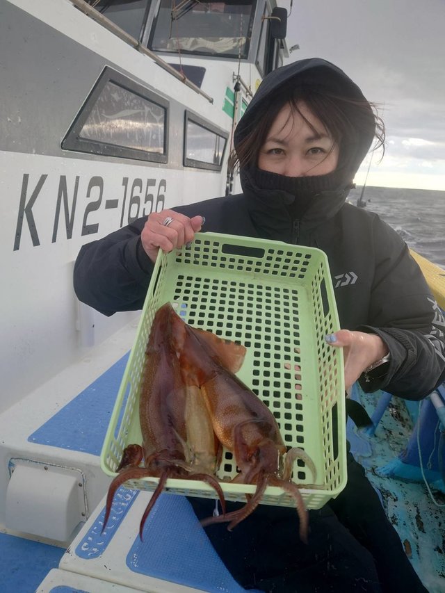 スルメ(スルメイカ)