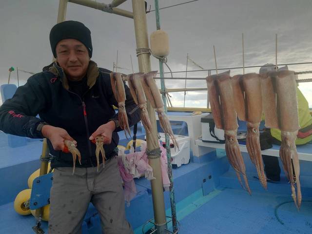 スルメ(スルメイカ)