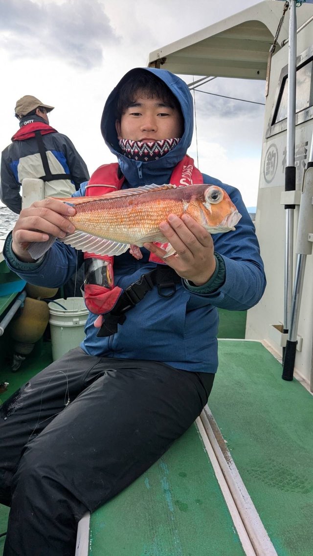 アマダイ(アカアマダイ)