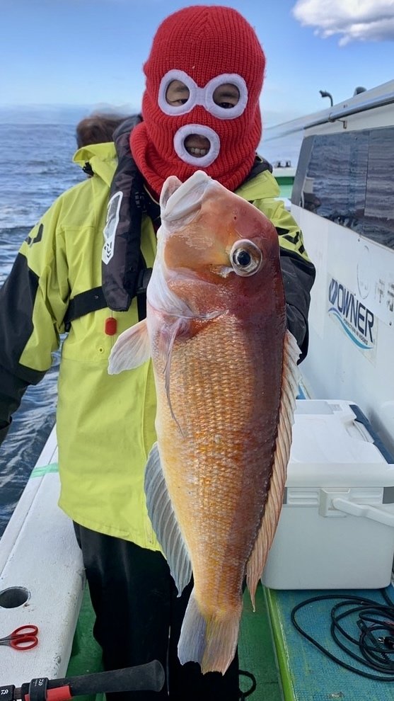 アマダイ(アカアマダイ)