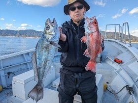 ニベ・アカムツ