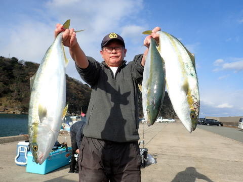 ブリ・ヒラマサ