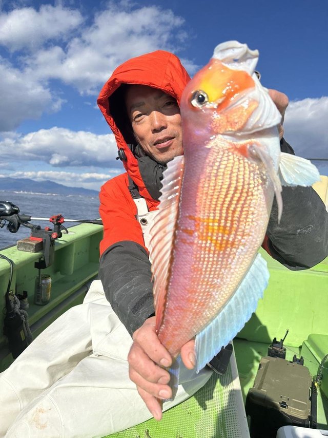 アマダイ(アカアマダイ)