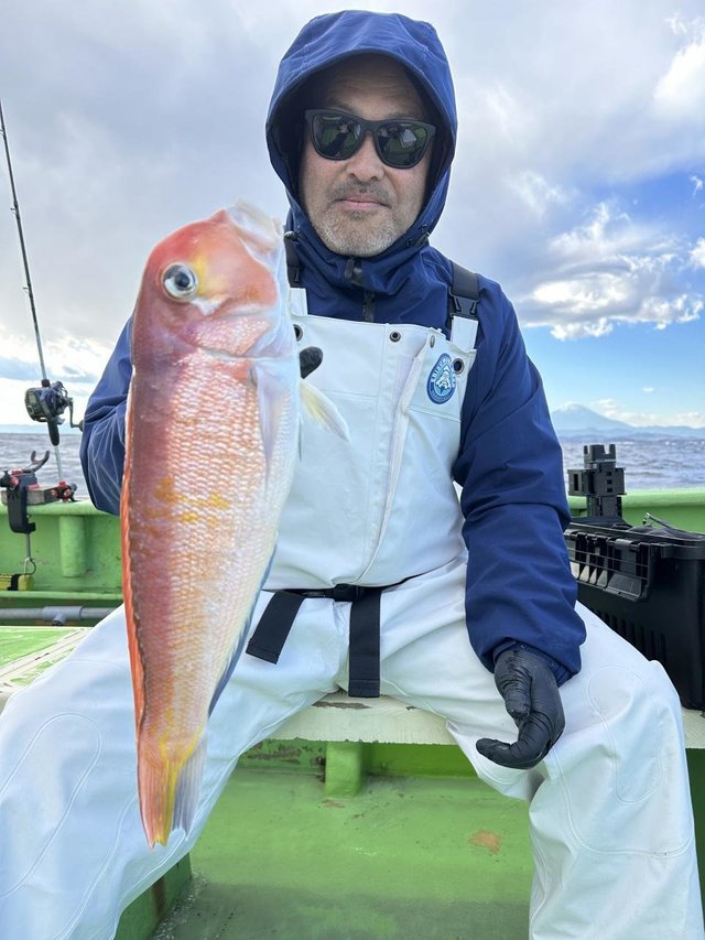 アマダイ(アカアマダイ)