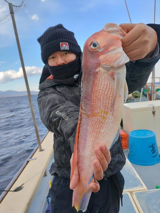 アマダイ(アカアマダイ)