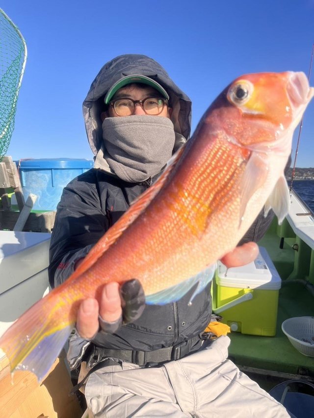 アマダイ(アカアマダイ)