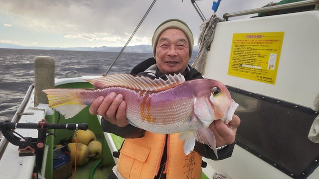 アマダイ(アカアマダイ)