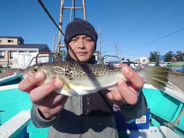 ショウサイフグ