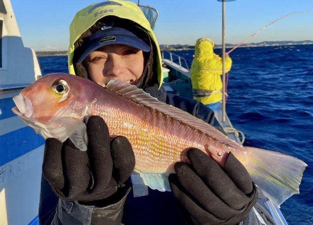 アマダイ(アカアマダイ)