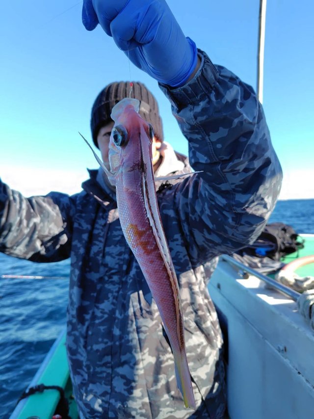 アマダイ(アカアマダイ)