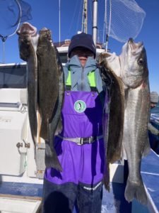 スズキ・ヒラメ