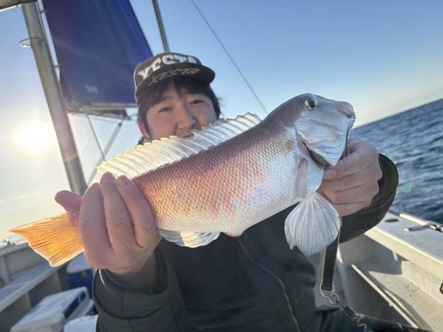 アマダイ(アカアマダイ)