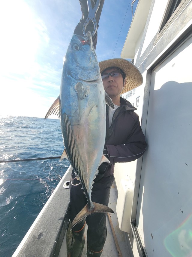 スマガツオ(スマ)