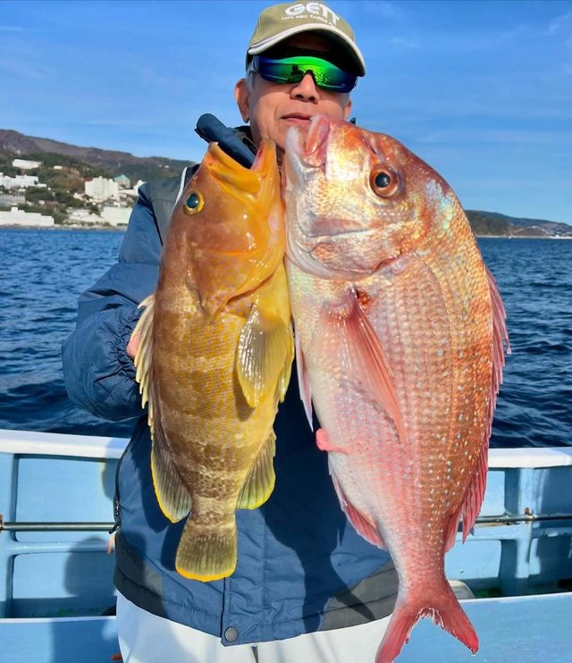 マダイ・アオハタ