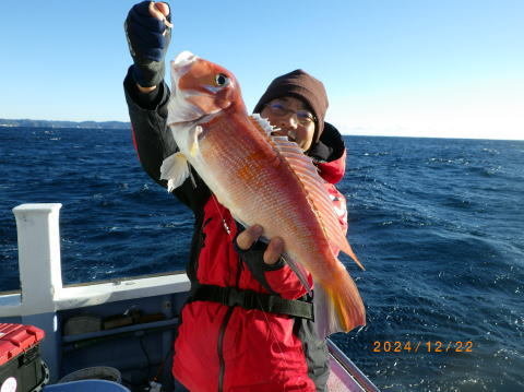 アマダイ(アカアマダイ)