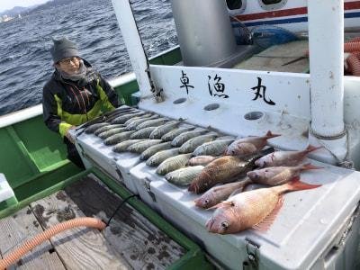 マダイ・チダイ・ヘダイ・オオモンハタ・イサギ(イサキ)