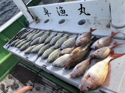 マダイ・チダイ・ヘダイ・オオモンハタ・イサギ(イサキ)