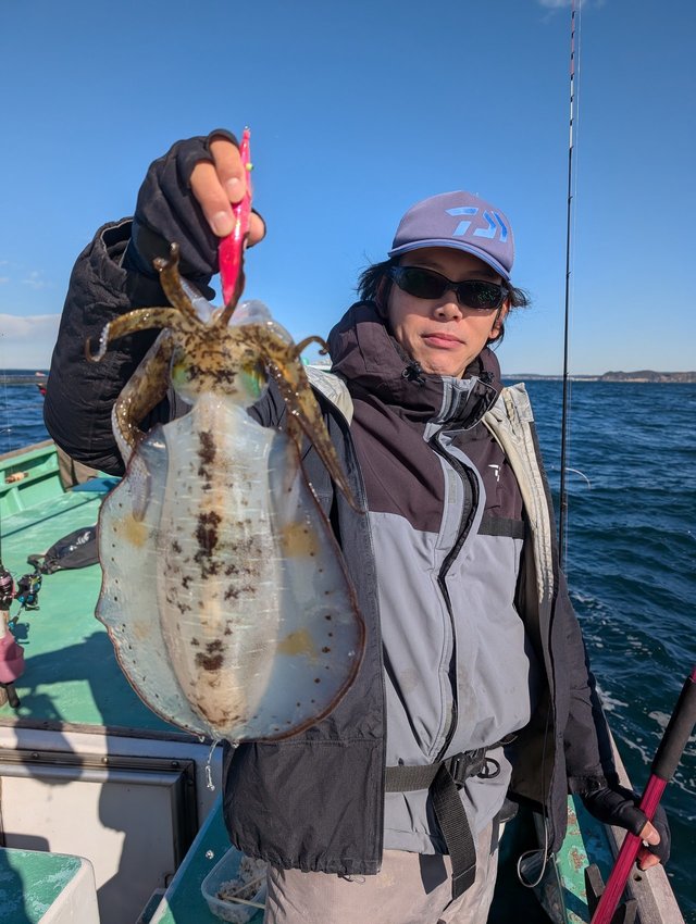 モンゴウイカ(カミナリイカ)