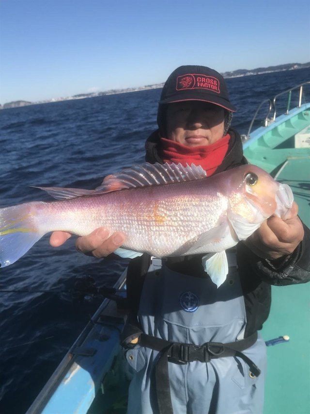 アマダイ(アカアマダイ)