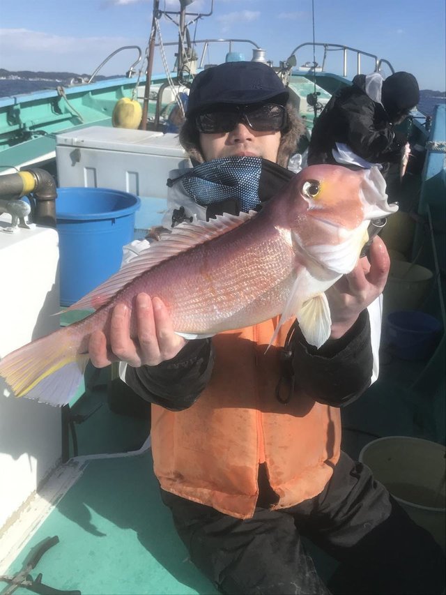 アマダイ(アカアマダイ)