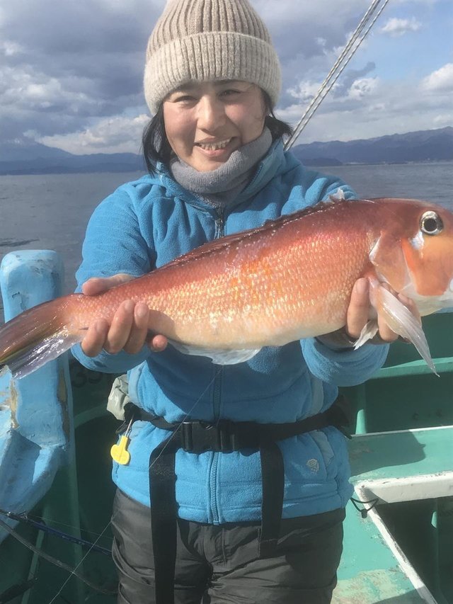 アマダイ(アカアマダイ)