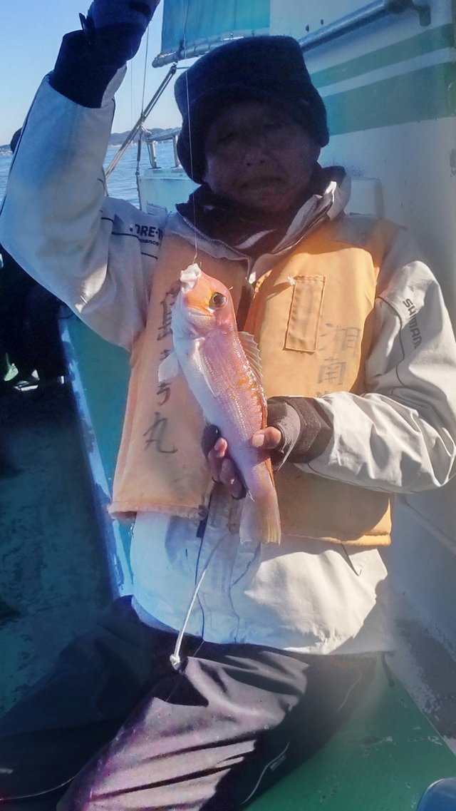 アマダイ(アカアマダイ)