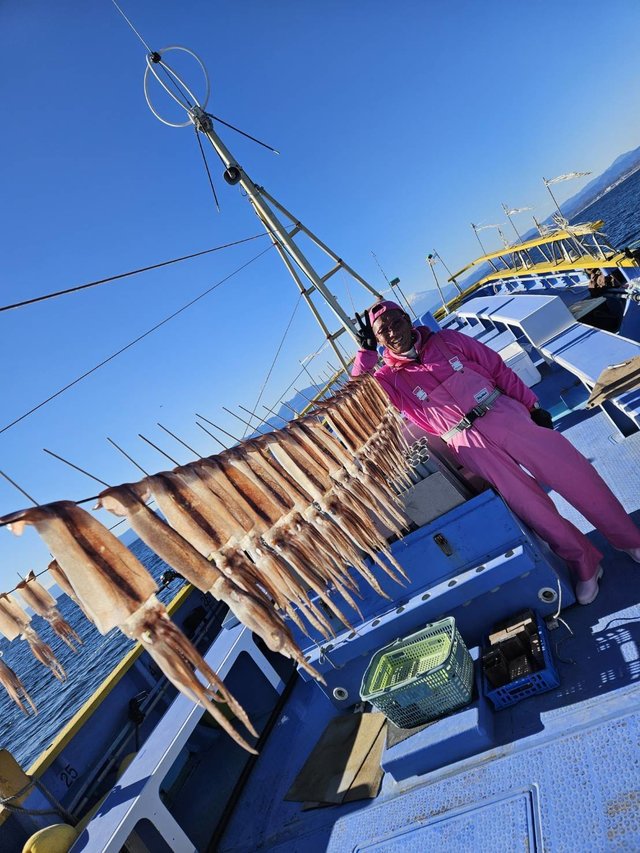 スルメ(スルメイカ)