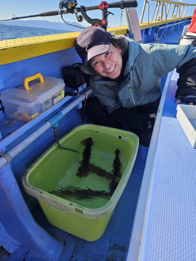 スルメ(スルメイカ)