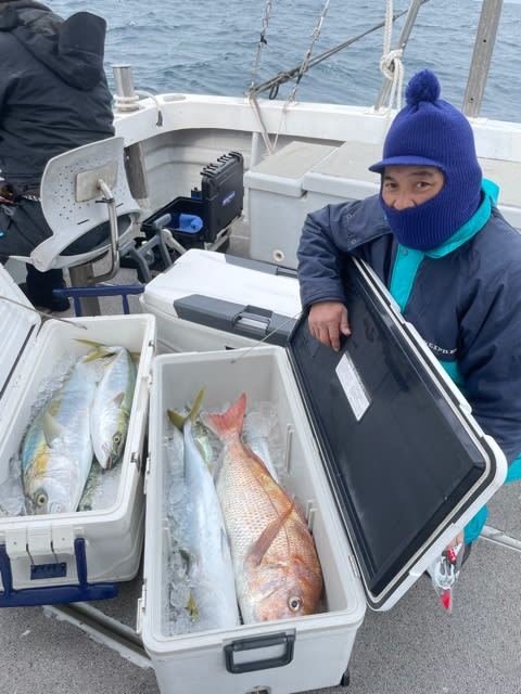 マダイ・ヤズ(ブリ)・ヒラマサ