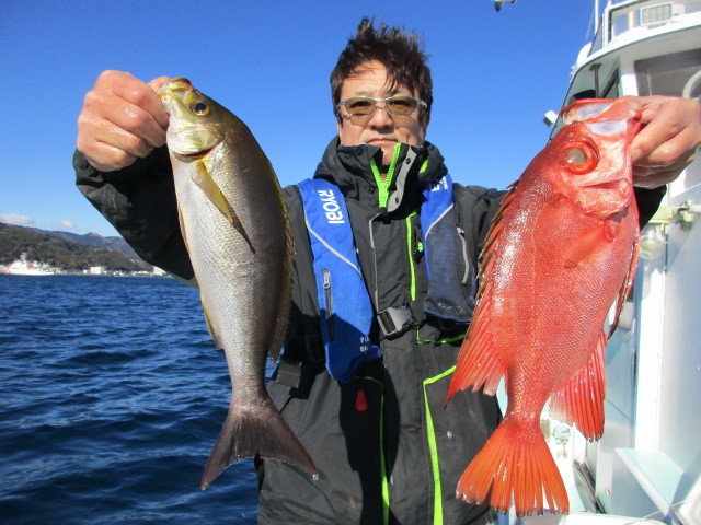 イサキ・キントキ(チカメキントキ)