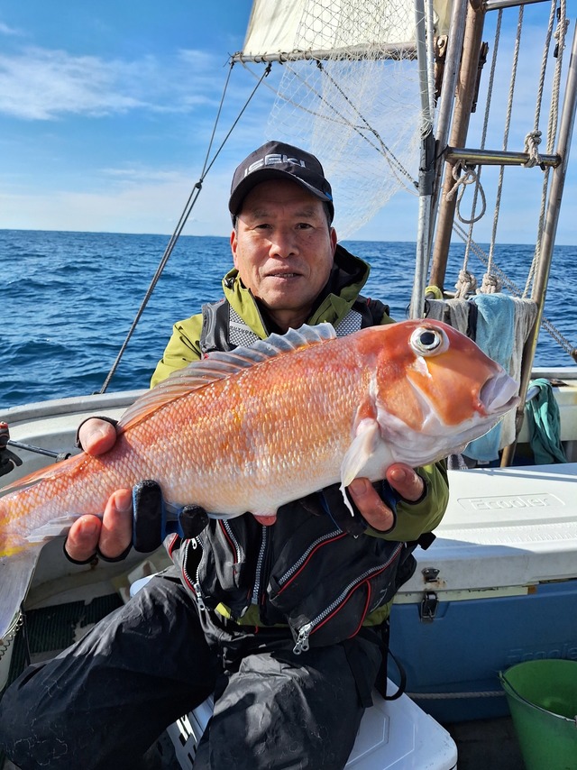 アマダイ(アカアマダイ)