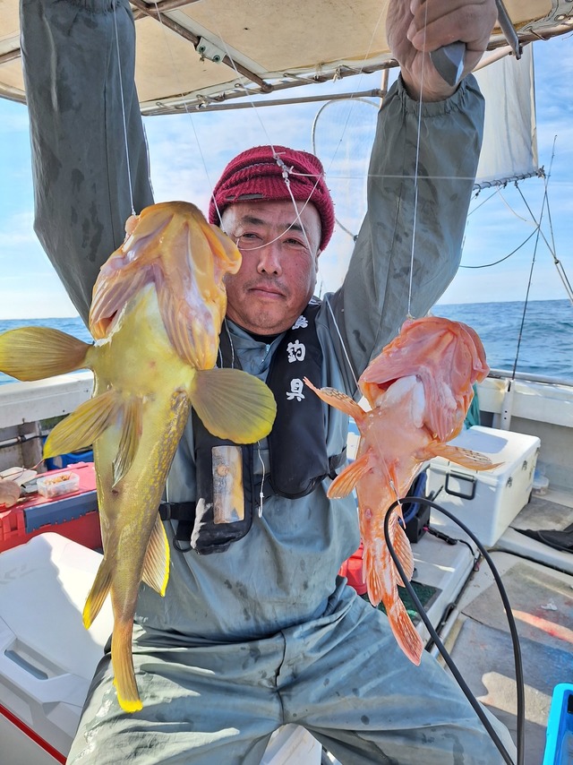 アオナ(アオハタ)